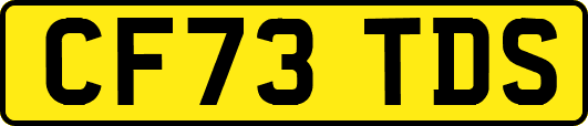 CF73TDS