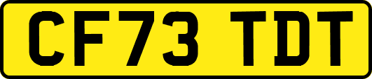 CF73TDT