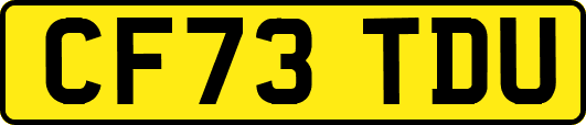 CF73TDU