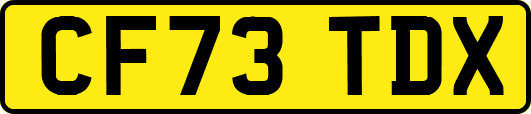 CF73TDX
