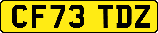 CF73TDZ