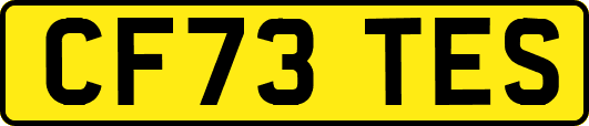 CF73TES
