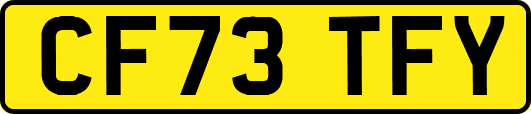 CF73TFY