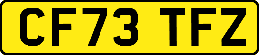 CF73TFZ