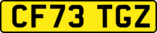 CF73TGZ