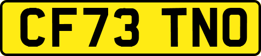 CF73TNO