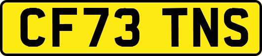 CF73TNS