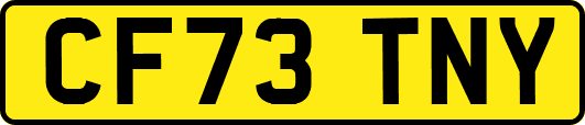 CF73TNY