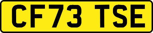 CF73TSE