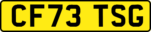 CF73TSG