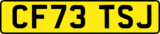 CF73TSJ