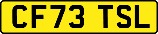 CF73TSL