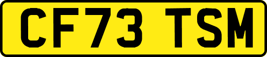 CF73TSM