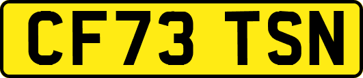 CF73TSN
