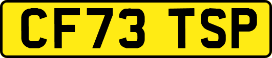 CF73TSP