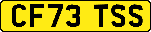 CF73TSS