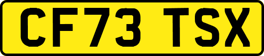 CF73TSX