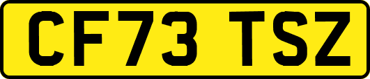 CF73TSZ