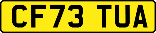 CF73TUA