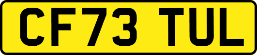 CF73TUL