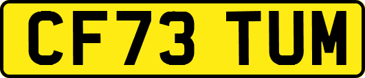 CF73TUM