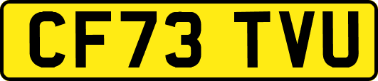 CF73TVU