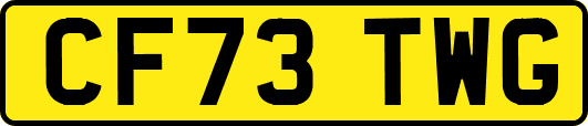 CF73TWG