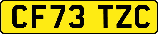 CF73TZC