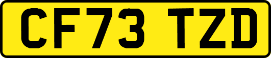 CF73TZD