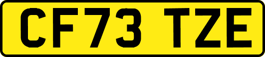 CF73TZE