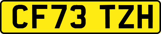 CF73TZH