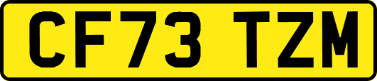 CF73TZM