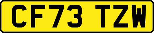 CF73TZW