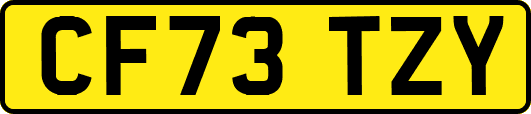 CF73TZY