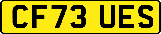 CF73UES