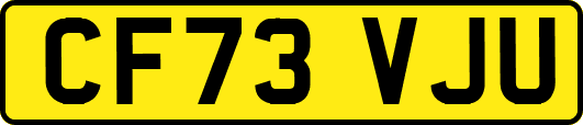 CF73VJU