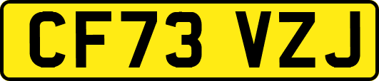 CF73VZJ