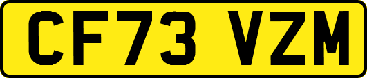 CF73VZM
