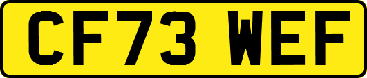 CF73WEF