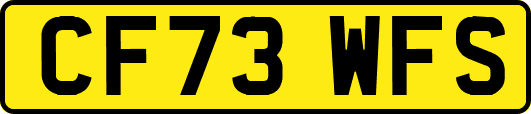 CF73WFS