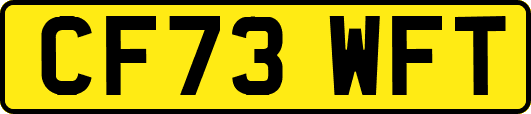 CF73WFT