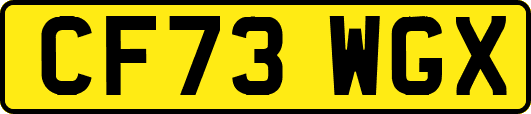 CF73WGX