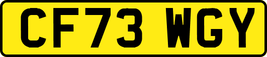 CF73WGY