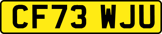 CF73WJU