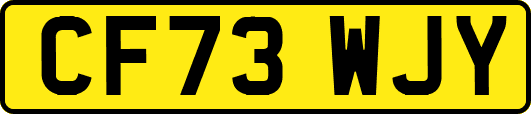 CF73WJY