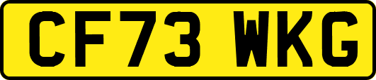 CF73WKG