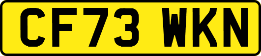 CF73WKN