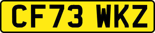 CF73WKZ