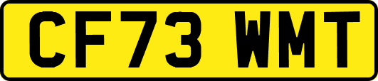 CF73WMT