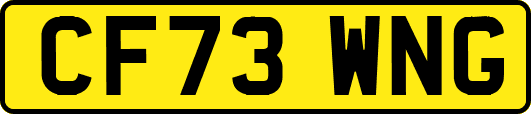 CF73WNG